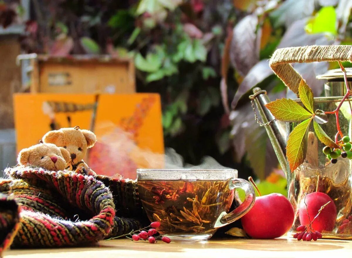 Чай теплый вечер. Осеннее чаепитие. Осенний уют. Уютная осень. Осенний чай.