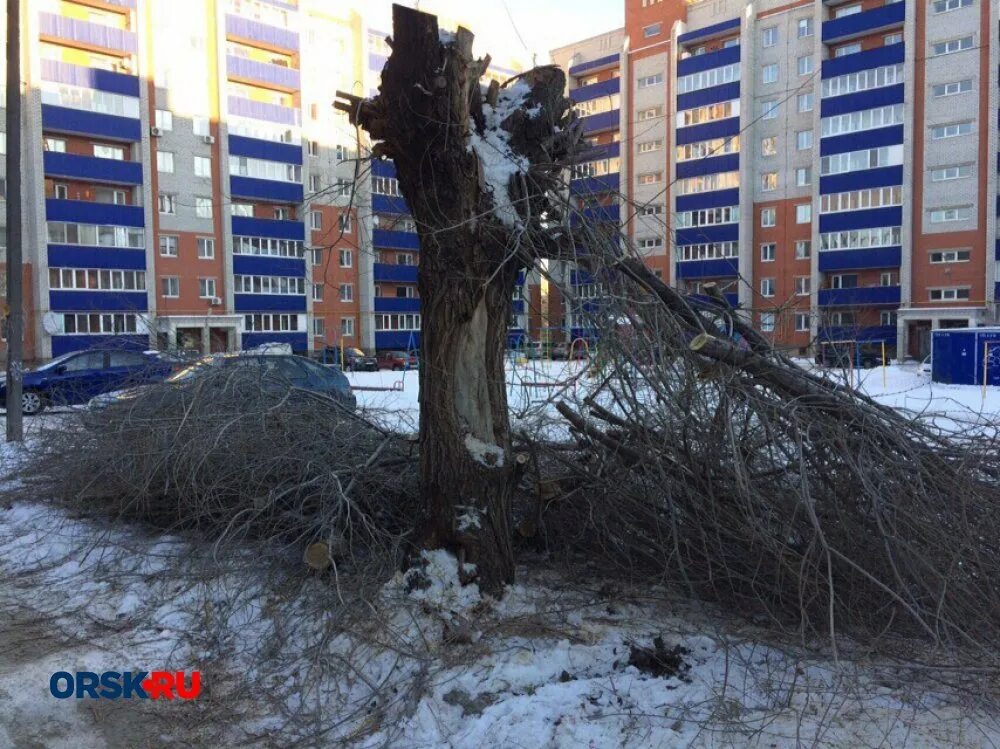 Ук альтернатива бердск. Желенов ергалий сарсекович. Управляющая компания альтернатива железноводск. Желенов ергалий сарсекович орск. Ергалий желенов.