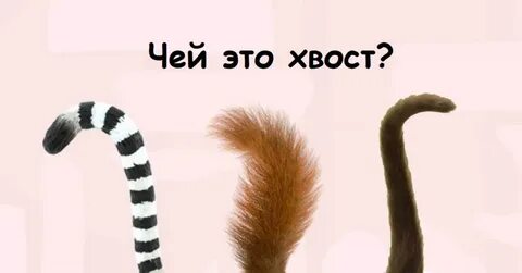 Когда у женщины были хвосты