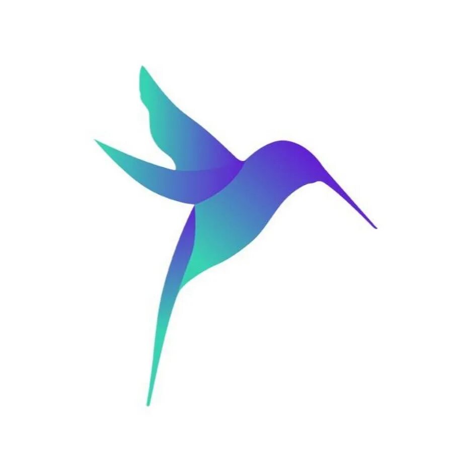 Колибри на аву. Колибри логотип. Колибри аватар. Колибри мультяшная. Colibri clean