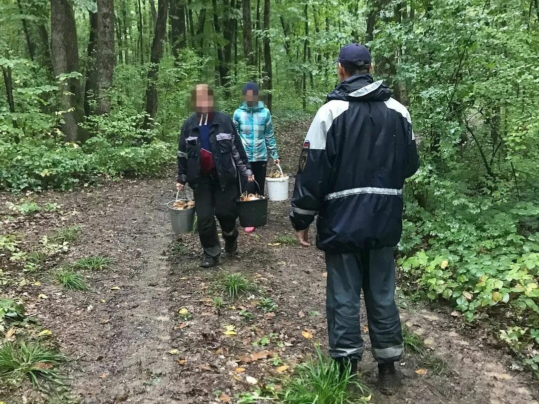 Спас 21. Кубань спас белореченск. отделение в лесу. грибники заблудились кочк. поисковая группа.
