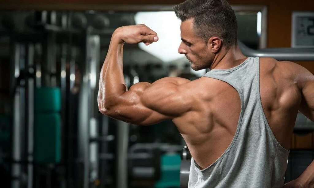 Питание спортсменов. Качки в зале. Накачанная спина. Спортивный мужчина. Питание для качков.