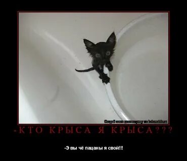 Каждое дневное