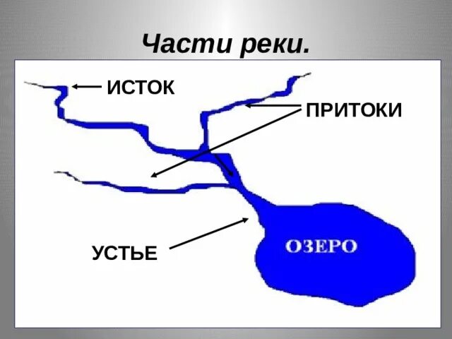 Схема реки Исток приток Устье. Схема реки Исток русло Устье. Устье приток Исток окружающий мир 2 класс. Строение реки схема 4 класс. Схема реки 2 класс окружающий мир