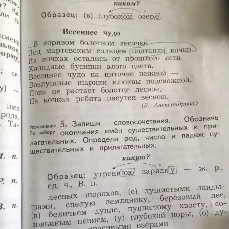 Вечерняя зорька падеж. Выписать из текста словосочетания. Выпишите из предложения словосочетания. Словосочетания существительное+прилагательное. Из текста выписать словосочетание существительное и прилагательное.