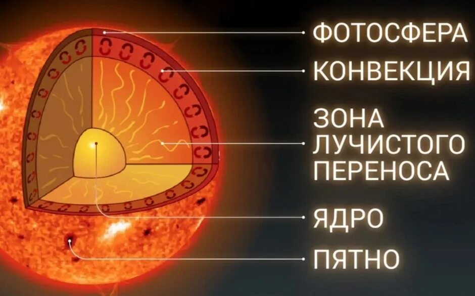 Видимая поверхность солнца называется. Строение солнца внутреннее и внешнее. Строение солнца ядро Лучистая зона конвективная зона. Внутренне строение солнца ядро. Внутреннее строение солнца рисунок.