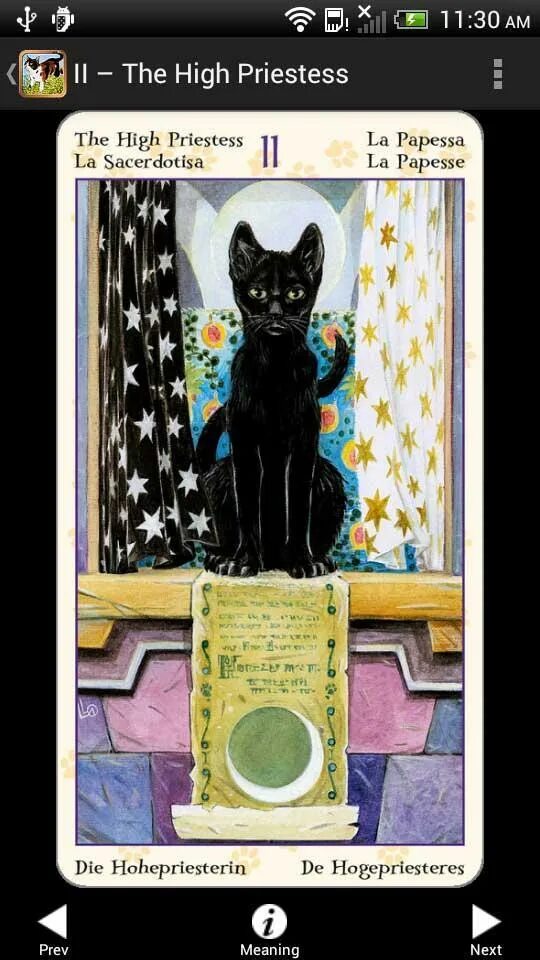 Таро котики значение карт. Pagan cats tarot галерея. таро pagan cats. таро языческих кошек галерея. tarot of pagan cats.