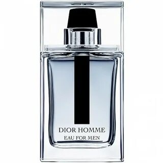 Christian dior man