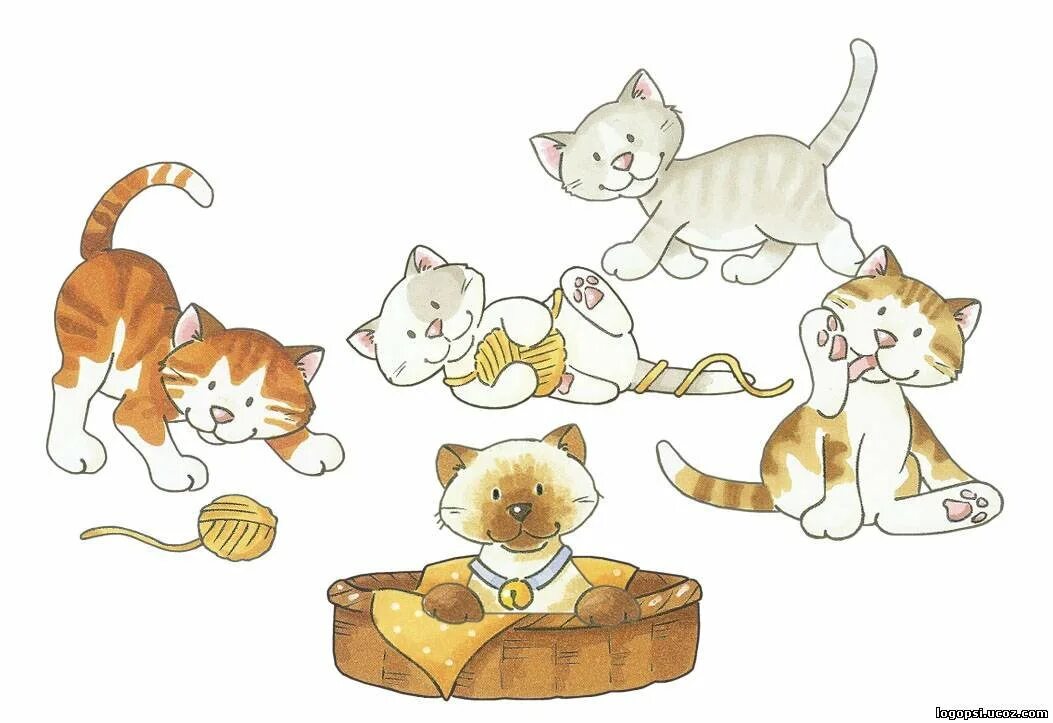 У маши живут 5 котят. Кошка иллюстрация для детей. Котёнок-ребёнок. Кошка для дошкольников. Котенок рисунок.