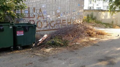 Куда вывезти ветки