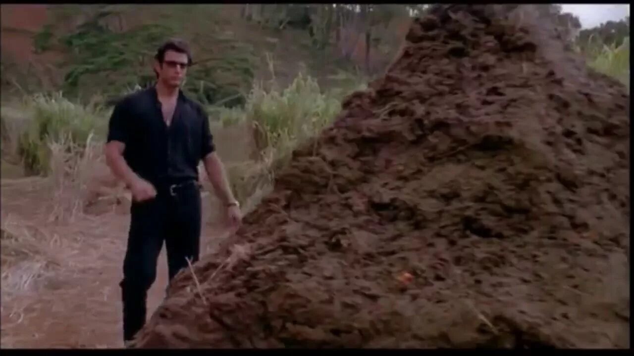 Fan. Смешной негр селфи. Drunk punk фредди. Oh shit. Shit happens.