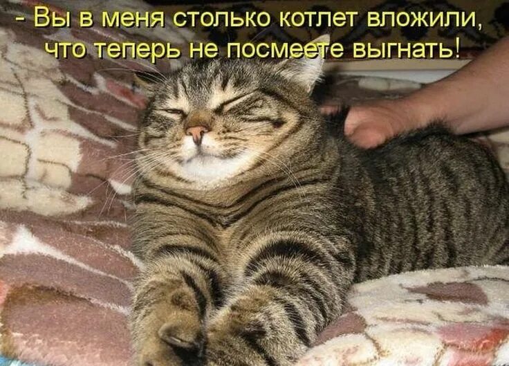 Как вы посмели меня не спросили