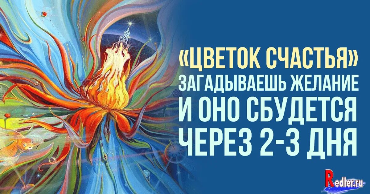Цветок исполнения желаний. Картина желания исполняются. цветы сбывшихся желаний. загадай желание и оно исполнится. цветок исполнитель желаний.
