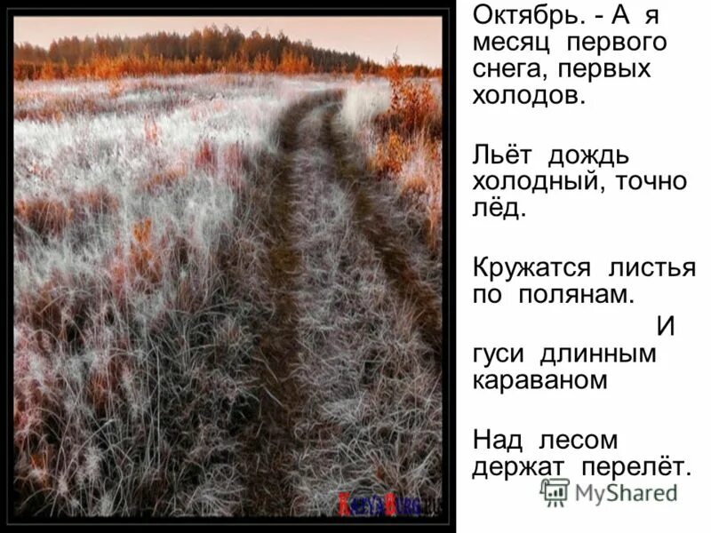 девушка за окном дождь. пойми холодный дождь. сильный дождь. пойми холодный дождь. дождь за окном.