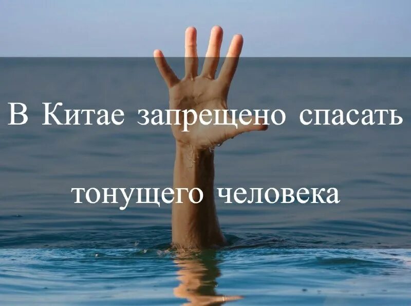 В китае запрещено спасать людей. В китае запрещено спасать людей. Почему в китае запрещено спасать тонущего человека. В китае запрещено спасать тонущего человека. В китае запрещено спасать тонущего человека.