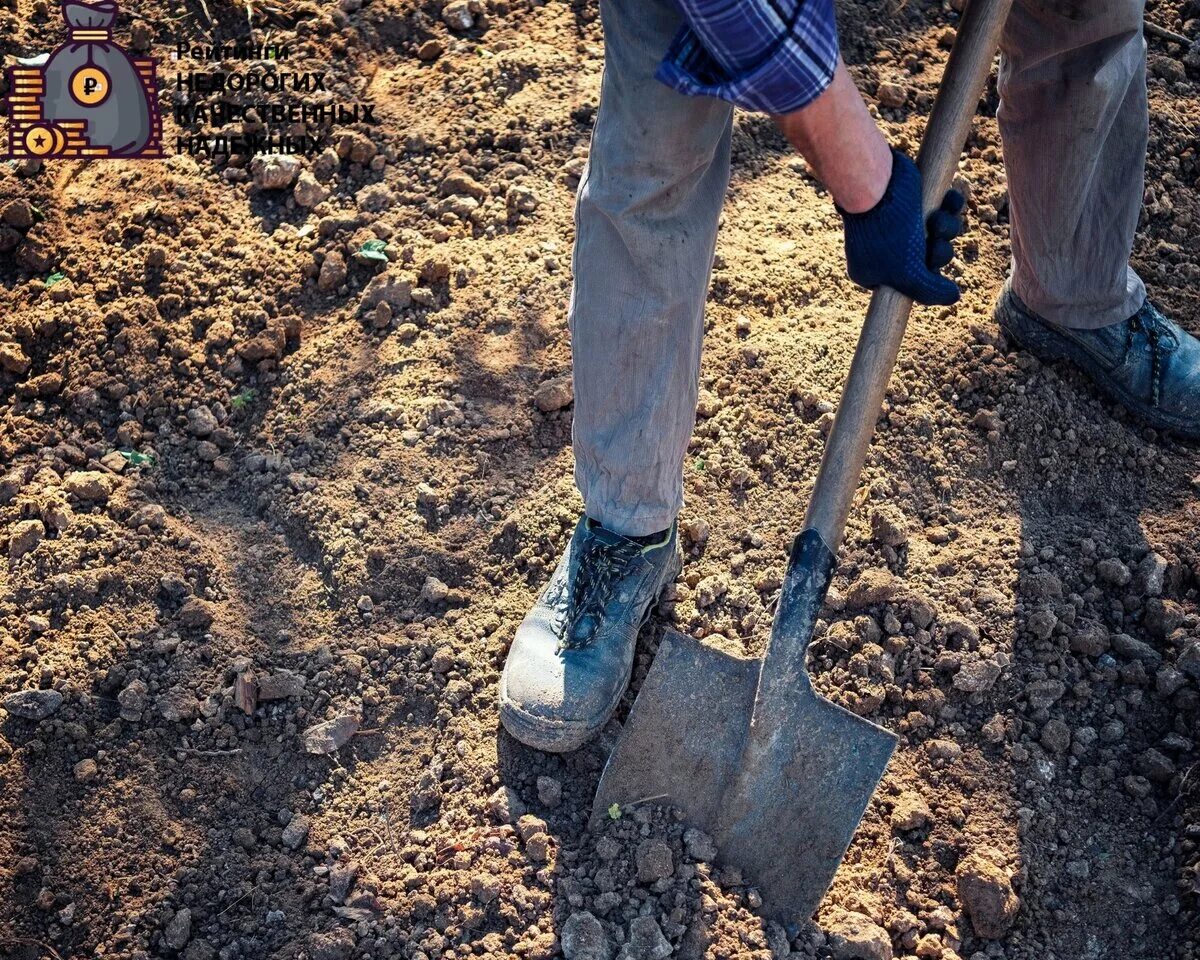 Digging holes. Человек копает землю. Лопата в земле. Перекапывание земли. Человечек копает землю.