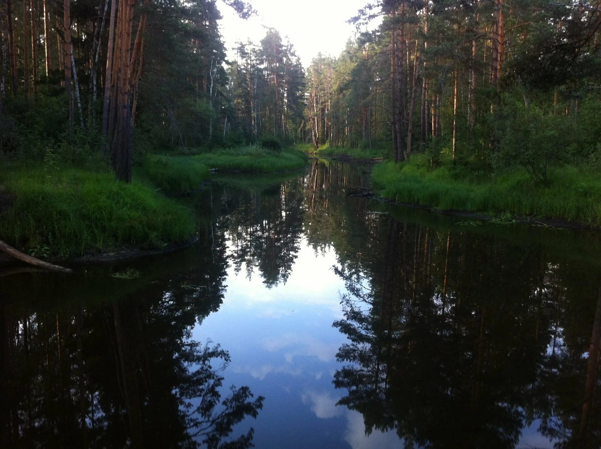 Мещера рязанская область