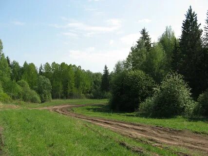 Село тимирязевское