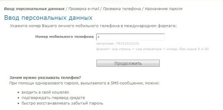 Код россии в международном формате. Ввод номера телефона. Написание номера телефона в международном формате. Формат ввода номера телефона. Международный Формат номера мобильного.