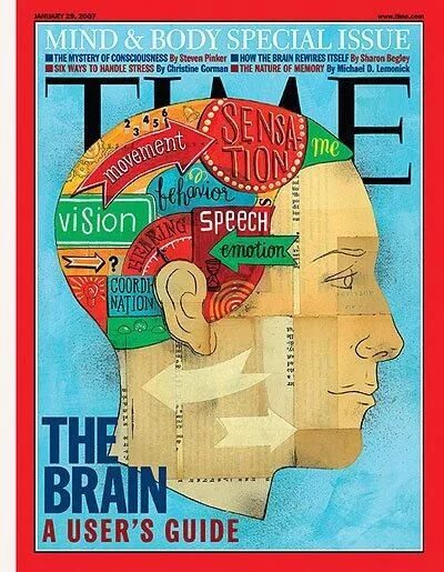 Issue pdf. Мозг коллаж. Brain. User's Guide. Time Magazine inside.