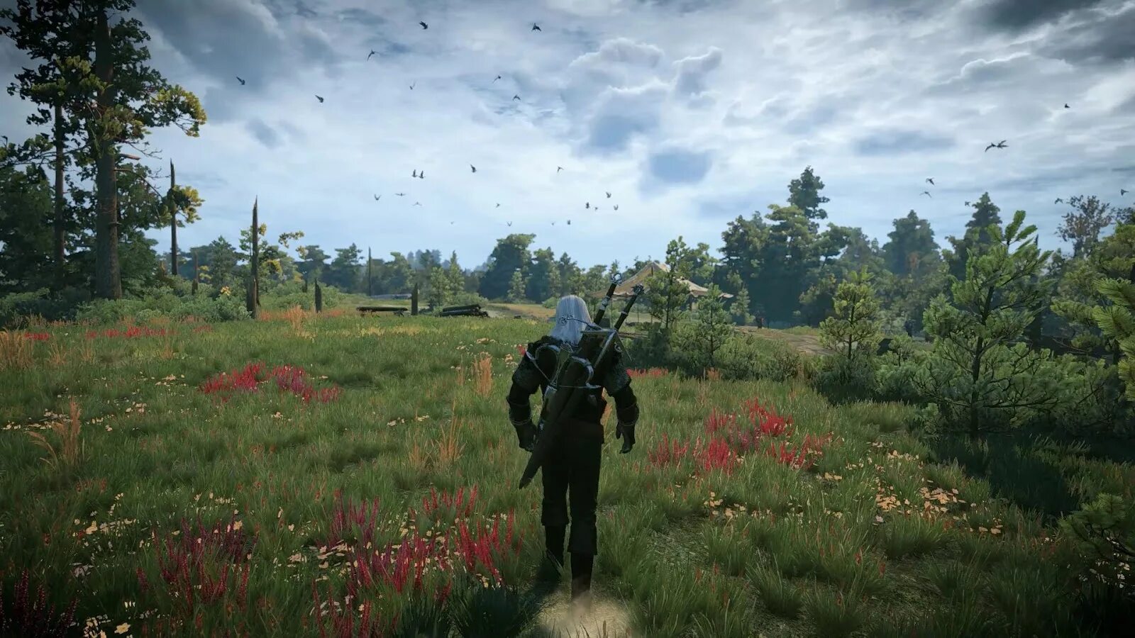 Witcher origin. Ведьмак 3 дикая охота ps5. ведьмак 3 акратиды. modhdreworkedproject ведьмак 3. the witcher 3 hd reworked project.