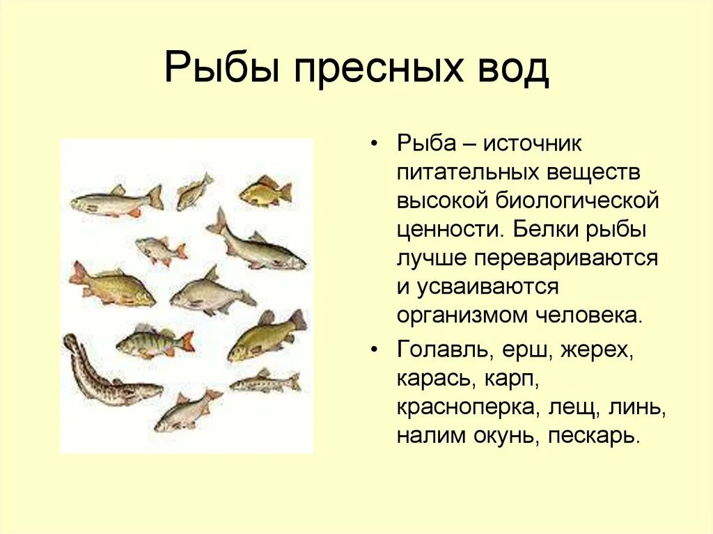 Рыбы пресноводных водоемов. Рыбы обитающие в водоемах. Пресные рыбы. Рыбы которые живут в пресной воде.