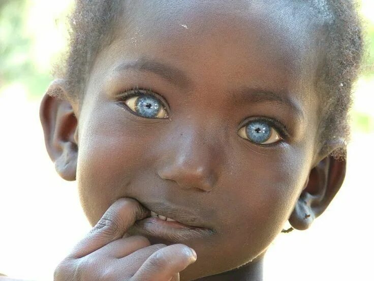 Le yeux