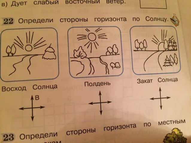 Напиши обозначения противоположных сторон. Стороны горизонта задания. Стороны горизонта задания 2 класс. Стороны горизонта проверочная. Задание на определение сторон горизонта.