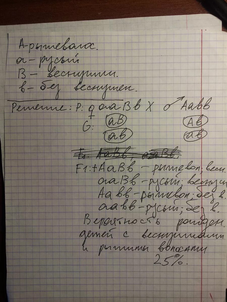 Определить вероятность рождения детей без веснушек. Веснушки доминантный признак. Наличие веснушек доминантный признак. Веснушки и без веснушек. Курчавые волосы доминантный признак