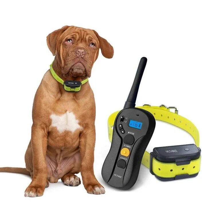 Электроошейник для собак с пультом антилай. Электроошейник Redmond Dog Training Collar. Электронный ошейник для дрессировки собак Dog Training Collar t166. Электронный ошейник GPS трекер для собак. Купить ошейник для дрессировки собак с пультом