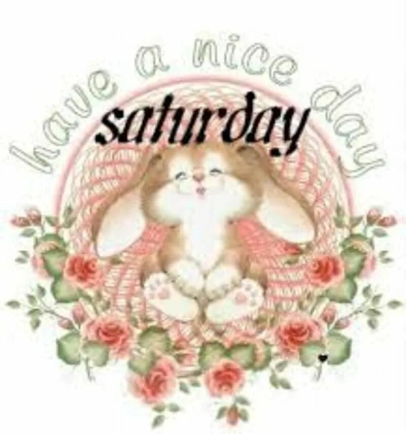 Have a nice Saturday. Have a Happy Saturday. Have a nice Saturday открытки. Have a good saturday