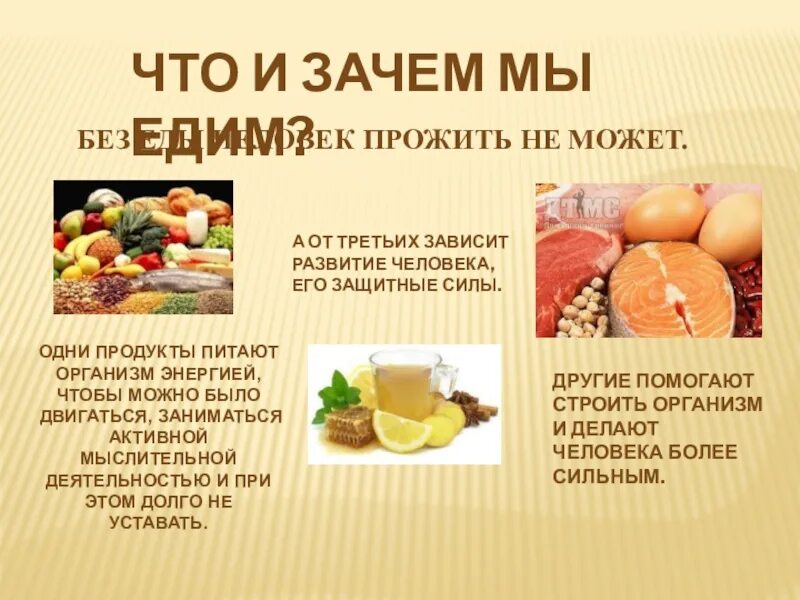 Зачем человеку нужна пища. Правильное питание презентация. Правильное питание картинки для детей. Зачем человеку питаться. Почему людям нужно есть.