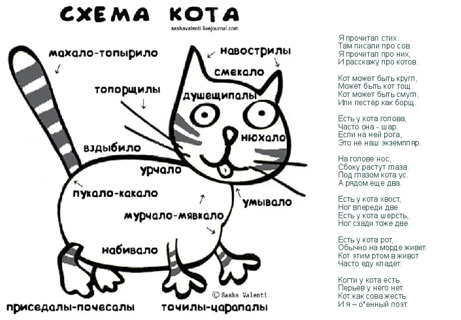 Что у тебя там написано