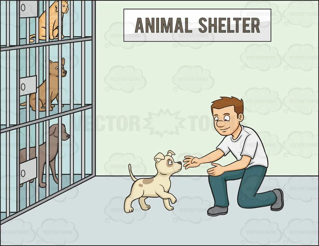 Some animals go to a shelter