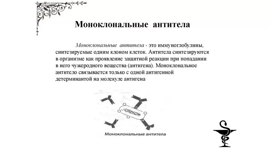 Схема получения моноклональных антител. Терапевтические моноклональные антитела. Моноклональные антитела этапы производства. Моноклональные антитела в онкологии. Клон антитела