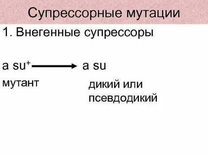 Супрессия