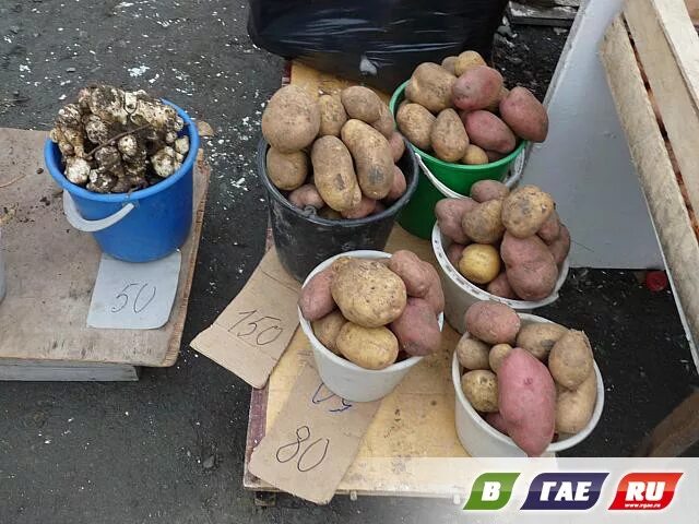 10 килограмм картошки. Ведро картошки. Ведро картошки рынок. Картофель в ведре. Килограмм картошки.