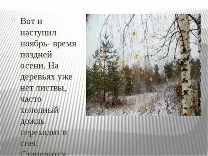 Настоящие дни поздней осени