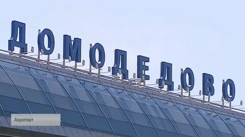 Номер горячей линии аэропорт домодедово