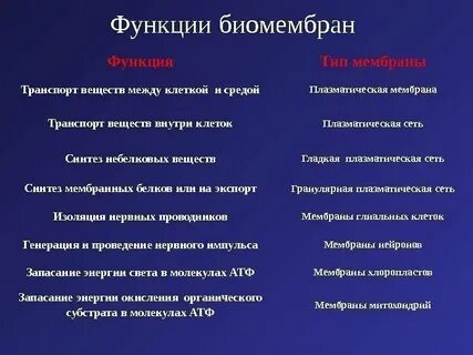 Основная функция оболочек