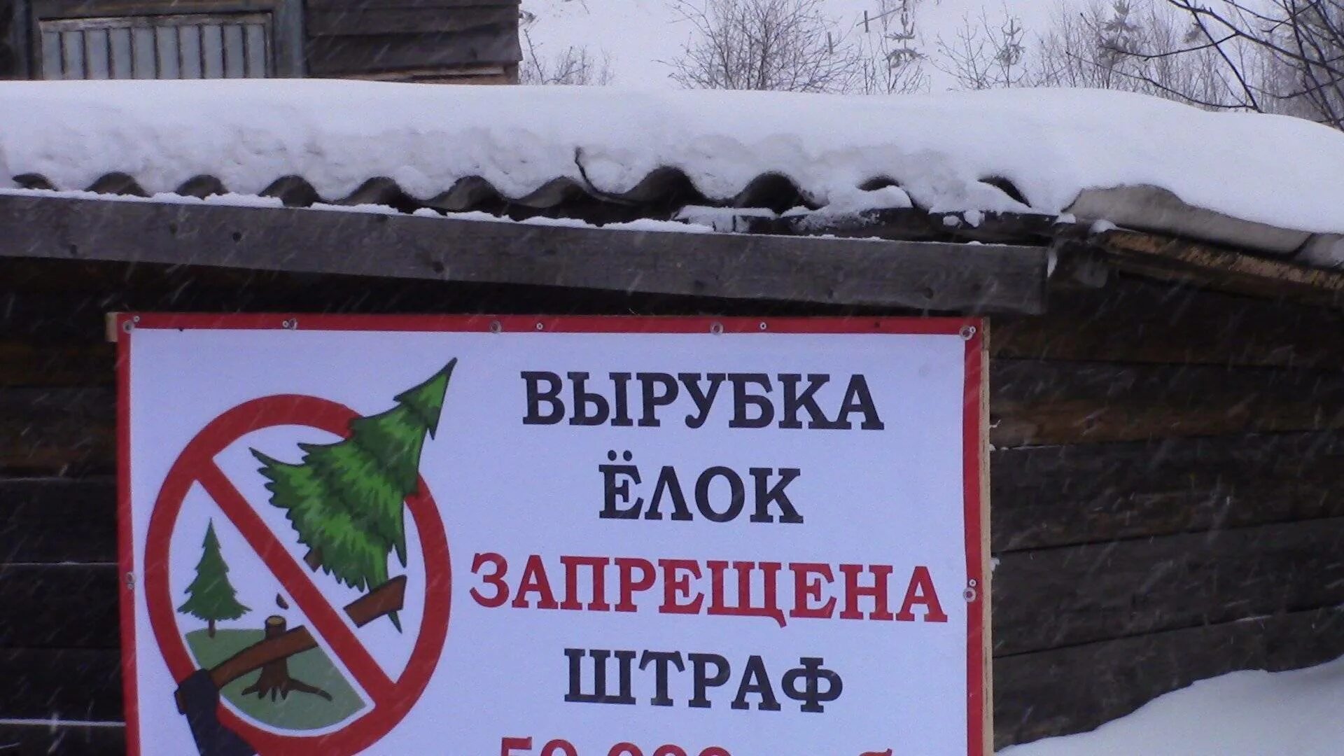 Против вырубки деревьев. Вырубка деревьев запрещена. табличка вырубка деревьев запрещена. против вырубки леса. рубка деревьев запрещена.