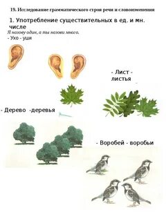 Развитие речи множественное число