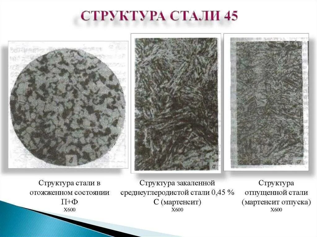 Структуры сталей после отжига