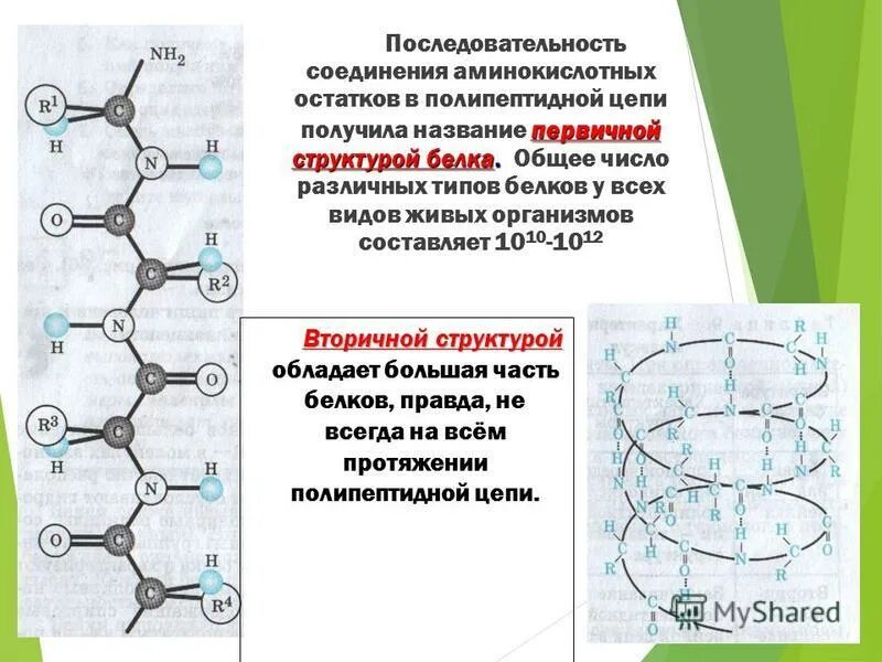 Изменение аминокислот последовательности белков