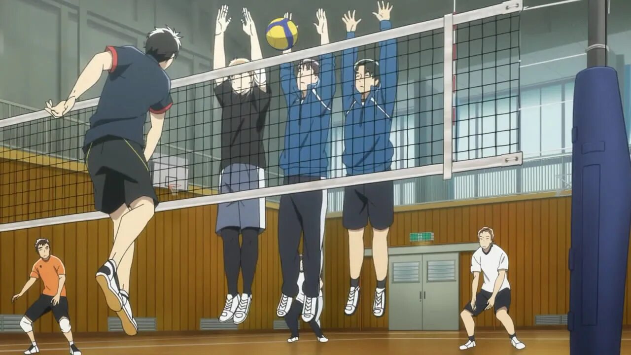 волейбольный клуб старшей сэйин. кимитика хайдзима. волейбольный клуб старшей сэйин. кимитика хайдзима. волейбольный клуб старшей сэйин.