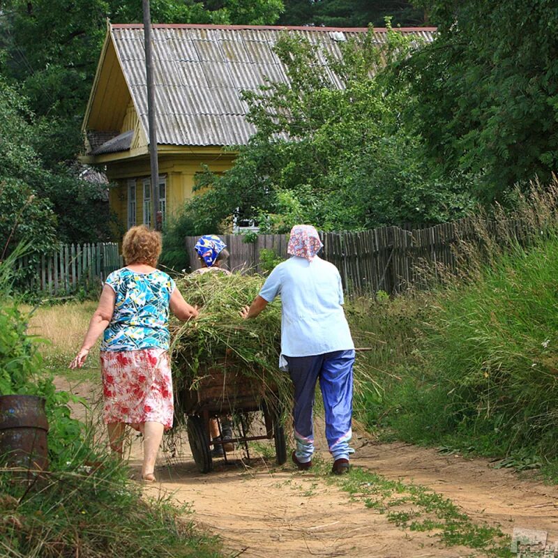 Будни кирдыксель