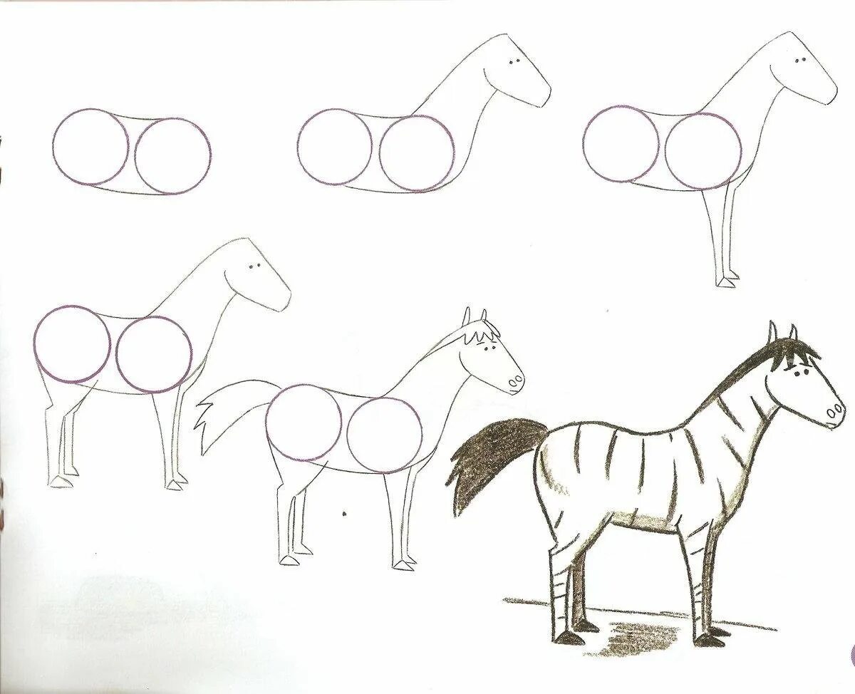 Лошадь карандашом. Поэтапное рисование лошади для детей. Схема рисования лошади для детей. Схема рисования лошади для дошкольников.