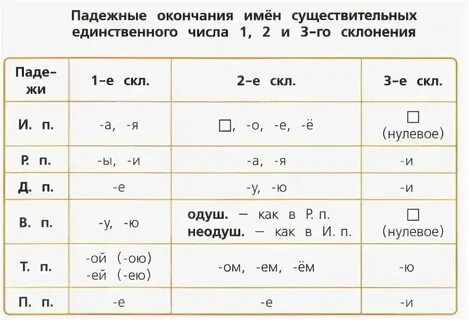 Какое окончание в слове приобрел