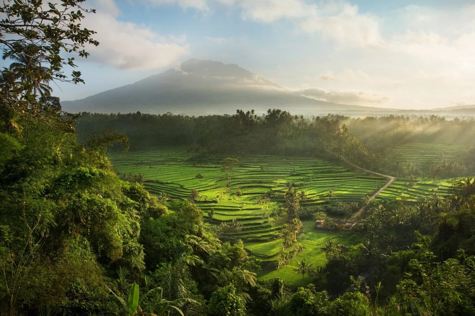 Что такое индонезия. Убуд Бали Индонезия. Бали пейзаж Убуд. Убуд - культурный центр острова Бали. САЙДМЕН Убуд.