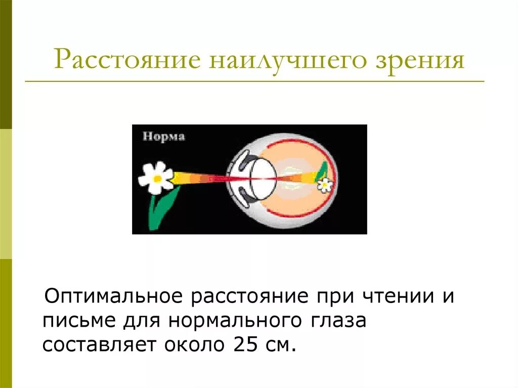 По распространенной точке зрения чтение. Расстояние наилучшего зрения. Расстояние для наилучшего зрения составляет. Глаз и зрение презентация. Расстояние для глаз при чтении.